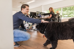 adver-online kantoor 2